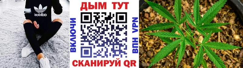 МЕГА онион Хадыженск Каннабис план где найти